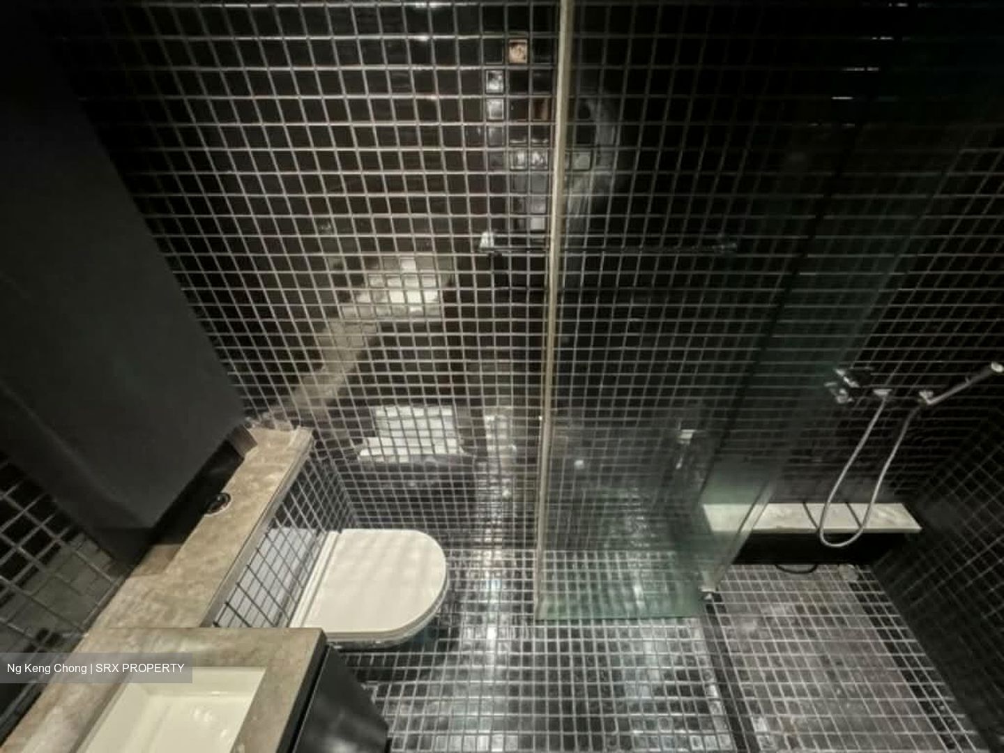 Skysuites@Anson (D2), Apartment #557836581